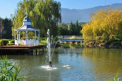 Lakeside Cottage Luxury B&B Mount Dandenong Zewnętrze zdjęcie